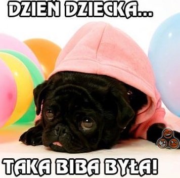 Zmęczony pies na dzień dziecka